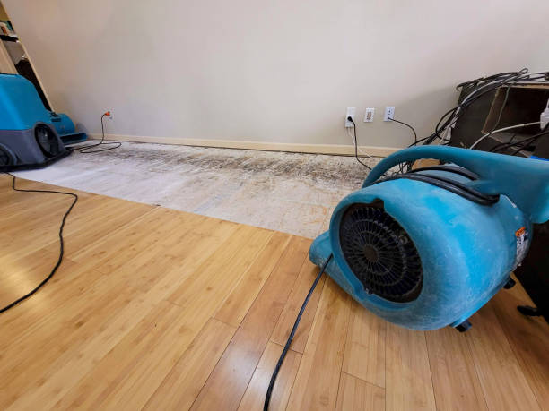 Professional Sewage Cleanup technician working in Toutle, WA